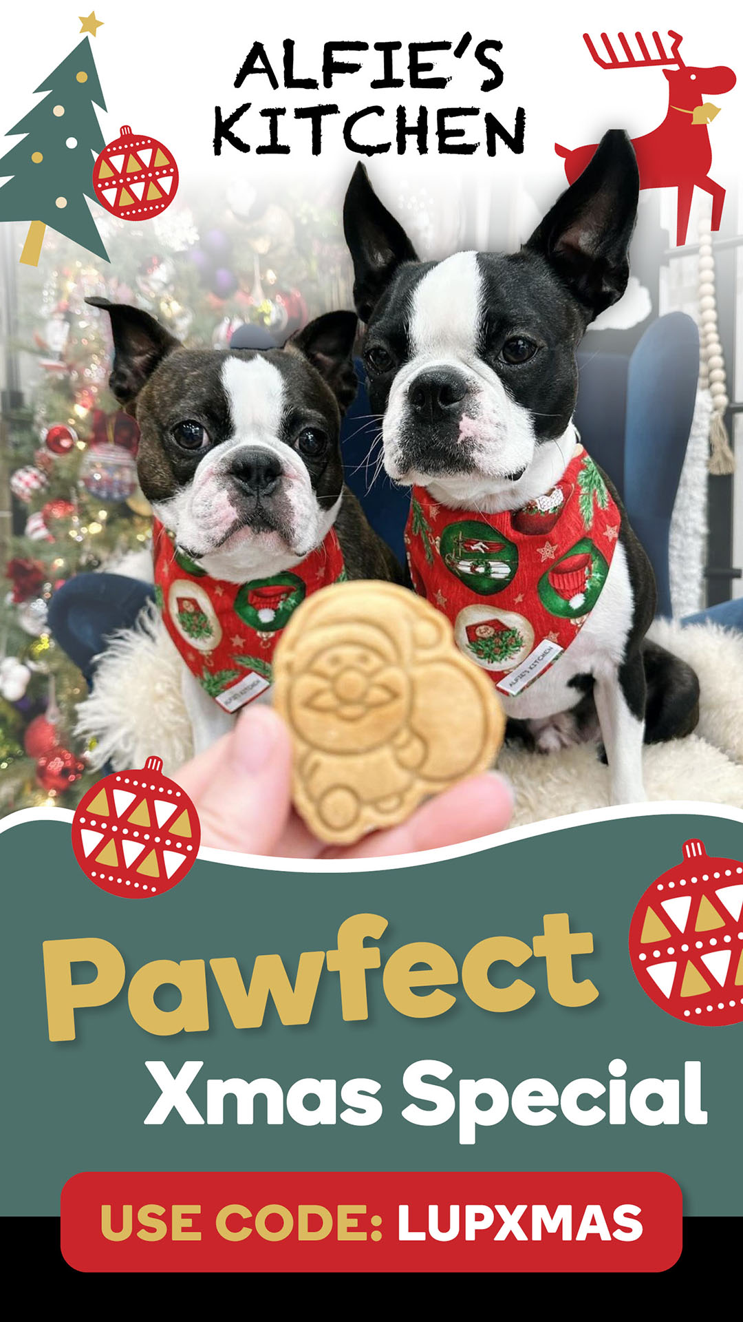 alfieskitchen-giftguide-lup-xmas