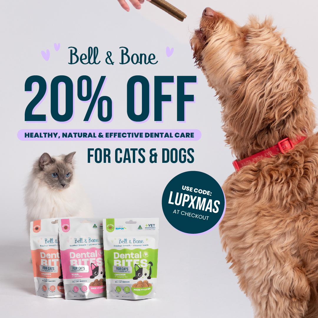 bellaandbone-giftguide-lup-xmas