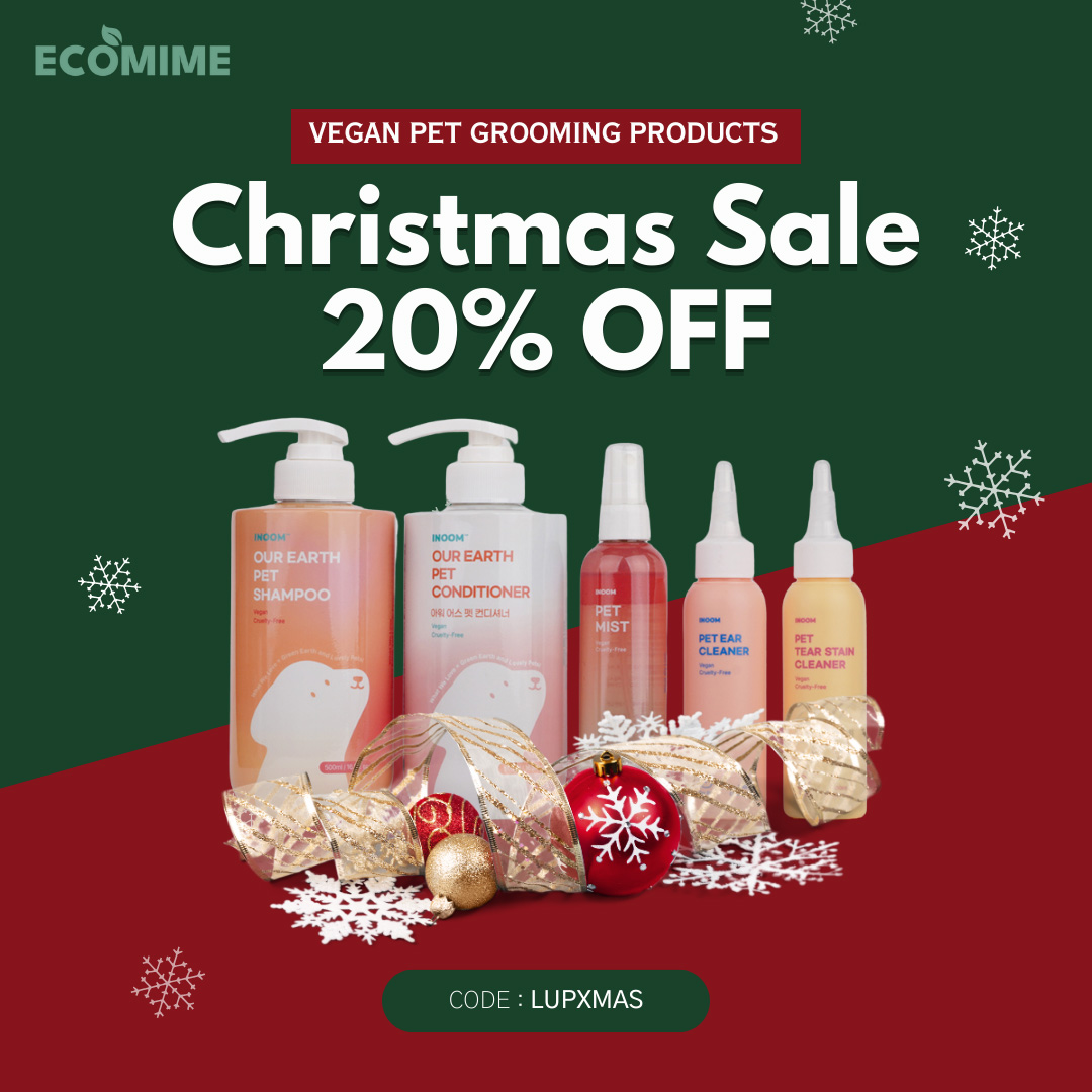 ecomime-giftguide-lup-xmas