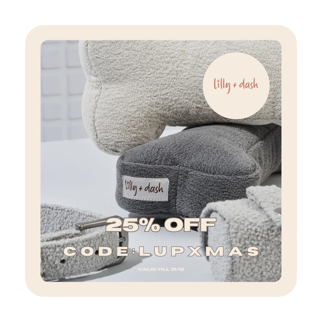 lillydash-giftguide-lup-xmas